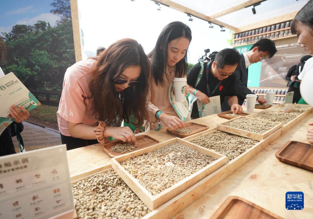 白菜彩金网址大全